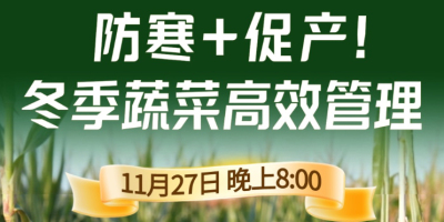 《细说农技》专家张宝林教冬季蔬菜防寒 + 促产高效管理，27 日晚 8 点！