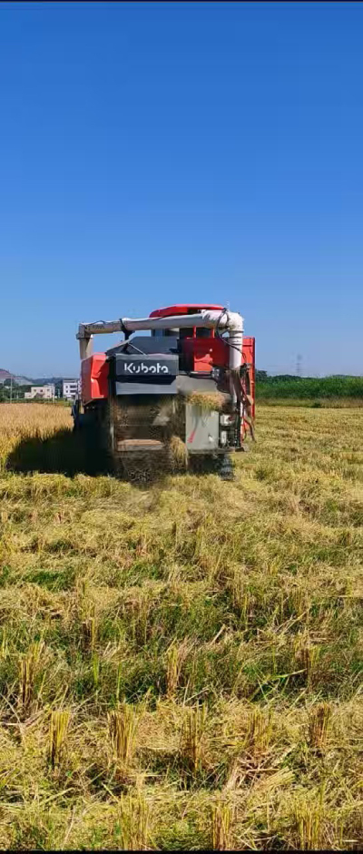惠州基地，无人拖拉机收水稻了。