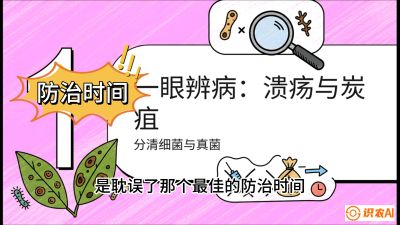 第三节：细菌与真菌&mdash;&mdash;溃疡病与炭疽病，课程：《柑橘十大病虫害：从入门到精通》