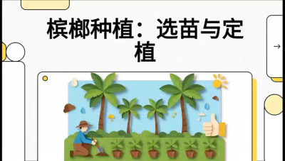 第01节：选苗与定植&mdash;&mdash;&ldquo;苗好一半收，底肥定千秋&rdquo;课程：《槟榔种植：从不懂到精通的10堂必修课》