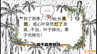第05节：常见真菌病害&mdash;&mdash;&ldquo;炭疽与烂心，早防值千金&rdquo;《槟榔种植：从不懂到精通的10堂必修课》