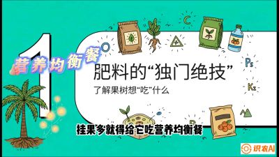 第07节：科学施肥&mdash;&mdash;&ldquo;氮磷钾配好，树壮果不倒