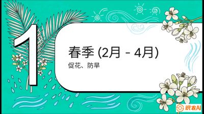 第10节：周年农事日历&mdash;&mdash;&ldquo;跟着节气走，丰产在手头&rdquo;《槟榔种植：从不懂到精通的10堂必修课》
