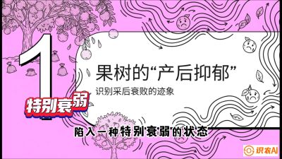 第2节：【冬肥策略】采后&ldquo;月子肥&rdquo;：大小年的精准干预术，课程：《柑橘底肥&ldquo;翻身账&rdquo;：从改土到高产的实战全书》