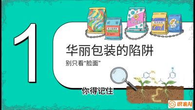 第4节：【黄金配方】底肥里的&ldquo;铁三角&rdquo;与&ldquo;微量雷区&rdquo;课程：《柑橘底肥&ldquo;翻身账&rdquo;：从改土到高产的实战全书》