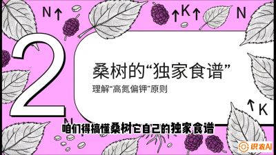 第04节：地下核动力&mdash;&mdash;桑树专用水肥一体化配方，课程：《桑海淘金：桑树高产与蚕桑安全进阶实战课》