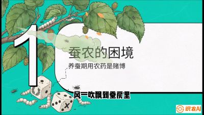 第06节：虫口夺叶（上）&mdash;&mdash;物理与生物防控绝技，课程《桑海淘金：桑树高产与蚕桑安全进阶实战课》