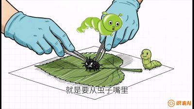 第07节：虫口夺叶（下）&mdash;&mdash;不得不打药时的&ldquo;解毒术&rdquo;，课程：《桑海淘金：桑树高产与蚕桑安全进阶实战课》