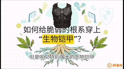 第三节：国产榴莲突围战：根系堡垒，菌根微生态构建与黄金定植窗口，课程：《国产榴莲突围战：从泰国经验到中国实操的8堂必修课（高阶实战版）》