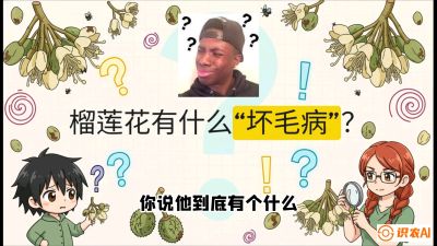 第六节：榴莲的午夜战事，夜间授粉战与花果期避雨策略，课程：《国产榴莲突围战：从泰国经验到中国实操的8堂必修课（高阶实战版）》