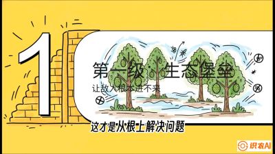 第七节：榴莲防御战：病虫害三级立体防控，疫霉菌与虫害的立体封锁线，课程：《国产榴莲突围战：从泰国经验到中国实操的8堂必修课（高阶实战版）》