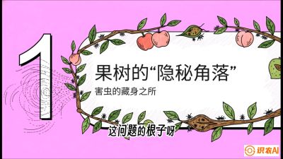 第3节：无人机专治&ldquo;打不透&rdquo;&mdash;&mdash;果树与高杆作物的穿透技巧，课程：《无人机植保搞钱必修课：从&ldquo;瞎飞&rdquo;到&ldquo;懂行&rdquo;的6步进阶》