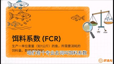 第五节：【高端单品&middot;鳜鱼】&ldquo;饲料鳜&rdquo;技术：打破吃活饵的高成本魔咒，课程：《黄金鳞甲：2025中国淡水鱼高效养殖实战营》
