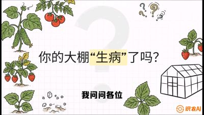 第2节（解毒篇）： 大棚里的&ldquo;红白绿&rdquo;警报&mdash;&mdash;读懂土壤盐渍化的求救信号，课程：《揭秘土壤的秘密：让土地帮你赚钱》#识农AI