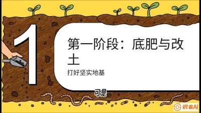 第6节（统筹篇）： 省钱又增产的&ldquo;黄金配比&rdquo;&mdash;&mdash;不同作物全年的养土实操方案，课程：《揭秘土壤的秘密：让土地帮你赚钱》#识农AI