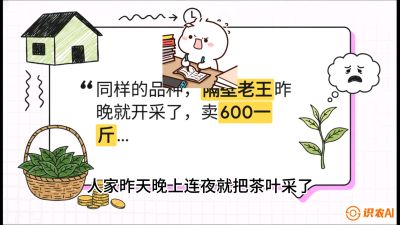 第01节（抢早篇）：与老天爷抢饭吃：如何利用&ldquo;温差阈值&rdquo;让头采茶提前5天上市？，课程：《茶金时代：从&ldquo;看天吃饭&rdquo;到&ldquo;精准控局&rdquo;的茶叶高产提质实战课》