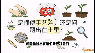 第02节（土肥篇）：告别&ldquo;苦涩水味&rdquo;：揭秘&ldquo;碳氮比&rdquo;调控术，种出自带兰花香的好茶底，课程：《茶金时代：从&ldquo;看天吃饭&rdquo;到&ldquo;精准控局&rdquo;的茶叶高产提质实战课》