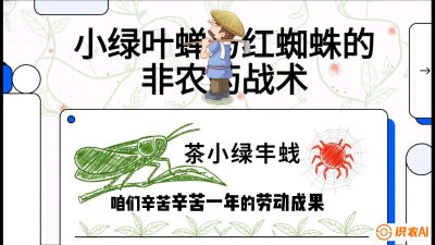 第03节（虫害篇）：看不见的吸血鬼：小绿叶蝉与红蜘蛛的&ldquo;非农药&rdquo;团灭战术（抗性治理），课程：《茶金时代：从&ldquo;看天吃饭&rdquo;到&ldquo;精准控局&rdquo;的茶叶高产提质实战课》