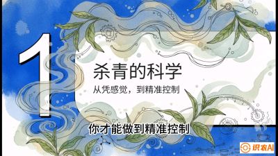 第05节（加工篇）：决胜2分钟：用&ldquo;数字温控&rdquo;破解杀青不匀，复刻大师级手工口感，课程：《茶金时代：从&ldquo;看天吃饭&rdquo;到&ldquo;精准控局&rdquo;的茶叶高产提质实战课》