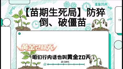 第2节：【苗期生死局】防猝倒、破僵苗，决定后期产量的&ldquo;黄金20天&rdquo;，课程：《辣椒种植实战特训营，从工业辣椒到精品小米辣，教你如何把&ldquo;草&rdquo;种成&ldquo;金&rdquo;》