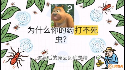 第4节：【虫害歼灭战】打不死的蓟马、隐形的茶黄螨：抗性时代的&ldquo;混配绝杀&rdquo;，课程：《辣椒种植实战特训营，从工业辣椒到精品小米辣，教你如何把&ldquo;草&rdquo;种成&ldquo;金&rdquo;》