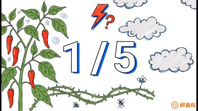 第6节：【花果爆发术】落花落果的五大元凶，与&ldquo;三喷一保&rdquo;坐果黑科技，课程：《辣椒种植实战特训营，从工业辣椒到精品小米辣，教你如何把&ldquo;草&rdquo;种成&ldquo;金&rdquo;》