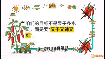 第7节：【工业辣椒专场】追求极致辣度！干物质提升与机械化采收的&ldquo;催红秘籍&rdquo;，课程：《辣椒种植实战特训营，从工业辣椒到精品小米辣，教你如何把&ldquo;草&rdquo;种成&ldquo;金&rdquo;》