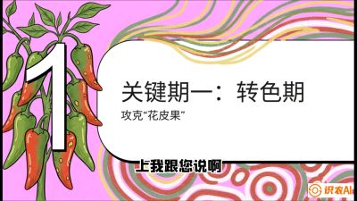 第8节：【小米辣线椒专场】颜值即正义！防花皮、防炭疽，打造收购商抢着要的&ldquo;精品果&rdquo;，课程：《辣椒种植实战特训营，从工业辣椒到精品小米辣，教你如何把&ldquo;草&rdquo;种成&ldquo;金&rdquo;》