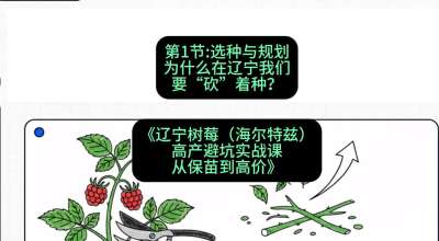 第一节： 选种与规划&mdash;&mdash;为什么在辽宁我们要&ldquo;砍&rdquo;着种？，课程：《辽宁树莓（海尔特兹）高产避坑实战课：从保苗到高价》