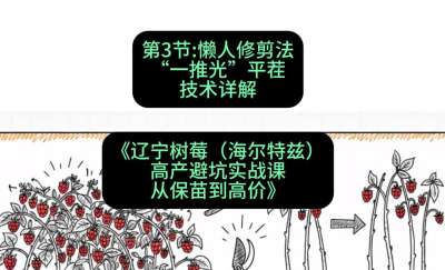 第三节： 懒人修剪法&mdash;&mdash;&ldquo;一推光&rdquo;平茬技术详解，课程：《辽宁树莓（海尔特兹）高产避坑实战课：从保苗到高价》
