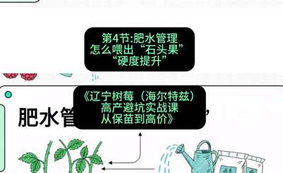 第四节： 肥水管理&mdash;&mdash;怎么喂出&ldquo;石头果&rdquo;（硬度提升），课程：《辽宁树莓（海尔特兹）高产避坑实战课：从保苗到高价》