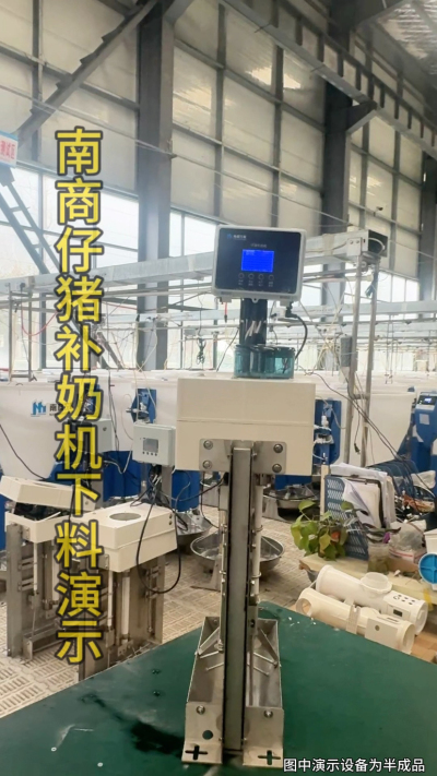 小猪抢不到奶，干瘦不长肉？成活率总上不去？😭
自从用上南商农科这款仔猪补奶机，再也没这烦恼！
✅ 一键设置下料参数，新手也能上手
✅ 恒温补奶，小猪抢着喝，长势超均匀
从车间精工组装到猪场落地使用，每