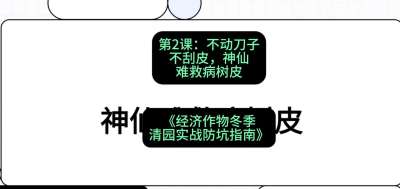 第2节：【物理手段】不动刀子不刮皮，神仙难救病树皮，课程：《经济作物冬季清园&middot;实战防坑指南》#识农AI