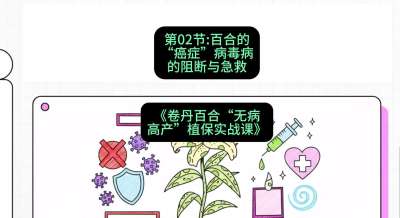 第02节：百合的&ldquo;癌症&rdquo;&mdash;&mdash;病毒病的阻断与急救，课程：《卷丹百合&ldquo;无病高产&rdquo;植保实战课》#识农AI