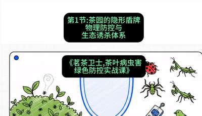 第01节：茶园的&ldquo;隐形盾牌&rdquo;&mdash;&mdash;物理防控与生态诱杀体系，课程：《茗茶卫士&mdash;&mdash;茶叶病虫害绿色防控实战课》#识农AI