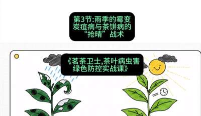 第03节：雨季的霉变&mdash;&mdash;炭疽病与茶饼病的&ldquo;抢晴&rdquo;战术，课程：《茗茶卫士&mdash;&mdash;茶叶病虫害绿色防控实战课》#识农AI