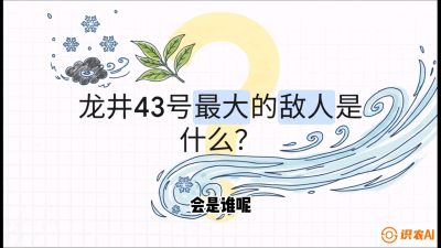 第04节：龙井双璧&mdash;&mdash;龙井43与群体种的差异化护养（重点），课程：《茗茶卫士&mdash;&mdash;茶叶病虫害绿色防控实战课》#识农AI