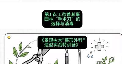第01节：工欲善其事&mdash;&mdash;园林&ldquo;手术刀&rdquo;的选择与消毒，课程：《景观树木&ldquo;整形外科&rdquo;造型实战特训营》#识农AI