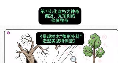 第07节：化腐朽为神奇&mdash;&mdash;偏冠、秃顶树的修复整形，课程：《景观树木&ldquo;整形外科&rdquo;造型实战特训营》#识农AI