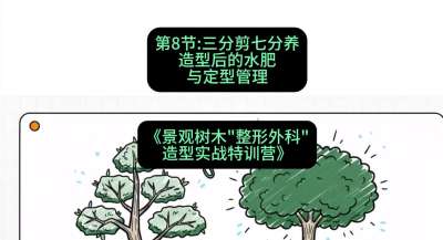 第08节：三分剪七分养&mdash;&mdash;造型后的水肥与定型管理，课程：《景观树木&ldquo;整形外科&rdquo;造型实战特训营》#识农AI