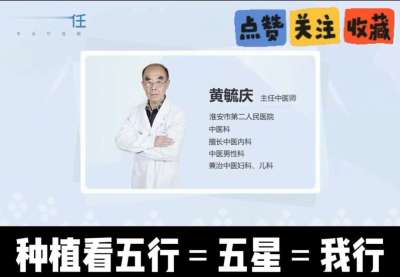 中药材淫羊藿怎么种？听专家一次讲明白！不挑地块好管理，耐寒耐旱省心省力，新手也能轻松上手，药用价值高、市场需求稳，妥妥的增收好品种～ 从生长习性到采收要点，干货满满无废话，种植疑问直接问，一对一答疑解