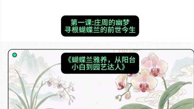 第一节：庄周的幽梦：寻根蝴蝶兰的前世今生，课程：《蝴蝶兰雅养六讲：从阳台小白到园艺达人》#识农AI