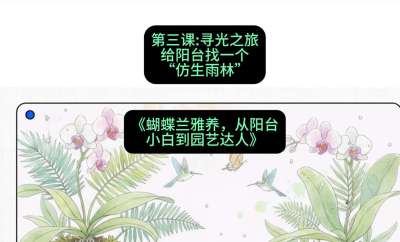 第三节：寻光之旅：给阳台找一个&ldquo;仿生雨林&rdquo;，课程：《蝴蝶兰雅养六讲：从阳台小白到园艺达人》#识农AI