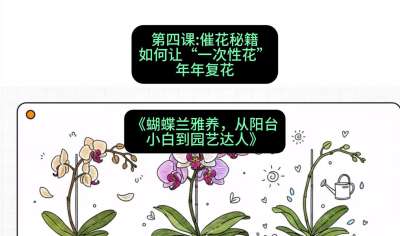 第四节：催花秘籍：如何让&ldquo;一次性花&rdquo;年年复花，课程：《蝴蝶兰雅养六讲：从阳台小白到园艺达人》#识农AI