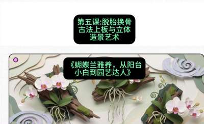 第五节：脱胎换骨：古法上板与立体造景艺术，课程：《蝴蝶兰雅养六讲：从阳台小白到园艺达人》#识农AI