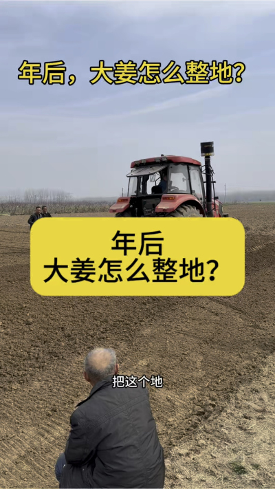 年后，大姜怎么整地？