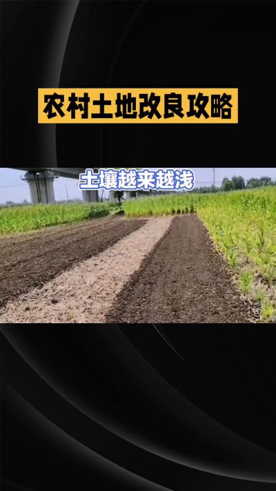 1. 先搞懂：你到底要改良哪块地、种什么
 
- 土土土在哪里？
就是你自家农田、菜地、果园，哪块地想种庄稼，就测哪块地的土。
​
- 有水没有水？
有水能浇：改良更省事，施肥、调酸碱都好操作。
没水