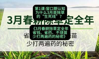 第1节：窗口期认知，为什么3月是除草的&ldquo;生死线&rdquo;？，课程：《3月春耕除草定全年：省钱、省药、不烧苗、少打两遍药的秘密》